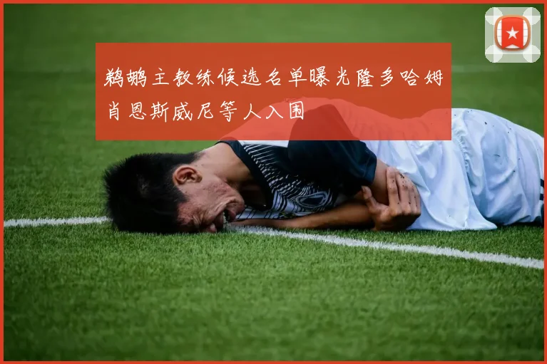 鹈鹕主教练候选名单曝光隆多哈姆肖恩斯威尼等人入围